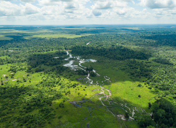 A Journey to the Heart of Africa: An Adventure in the Congo Rainforest