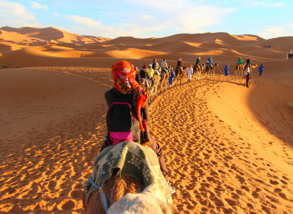 From the Sahara to the Sea: Exploring the Diversity of North Africa