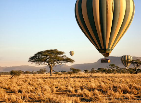 Discovering the Wonders of the Serengeti: A Guide to a Tanzania Safari